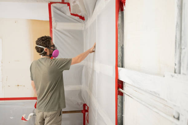 Best Environmental Consulting for Mold Prevention  in Windsor, CA