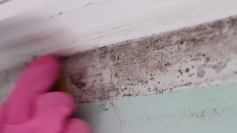 Best Indoor Air Quality Assessment  in Windsor, CA